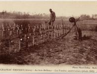 Les tombes américaines au Bois Belleaux (photo 1918)